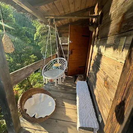 Mlynarza 度假居 Sochocin